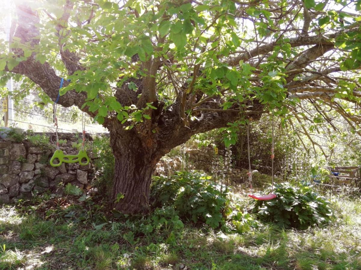 Bastide Provençale Les Mûriers D'engaspaty Appartement *